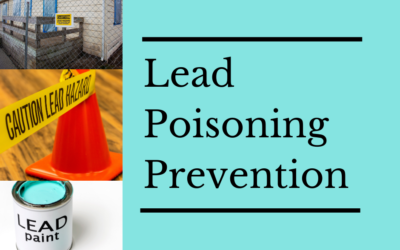 Lead Poisoning Is Still a National Concern