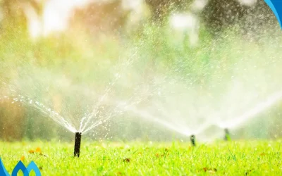 Water Conservation Tips For Smart Irrigation Month