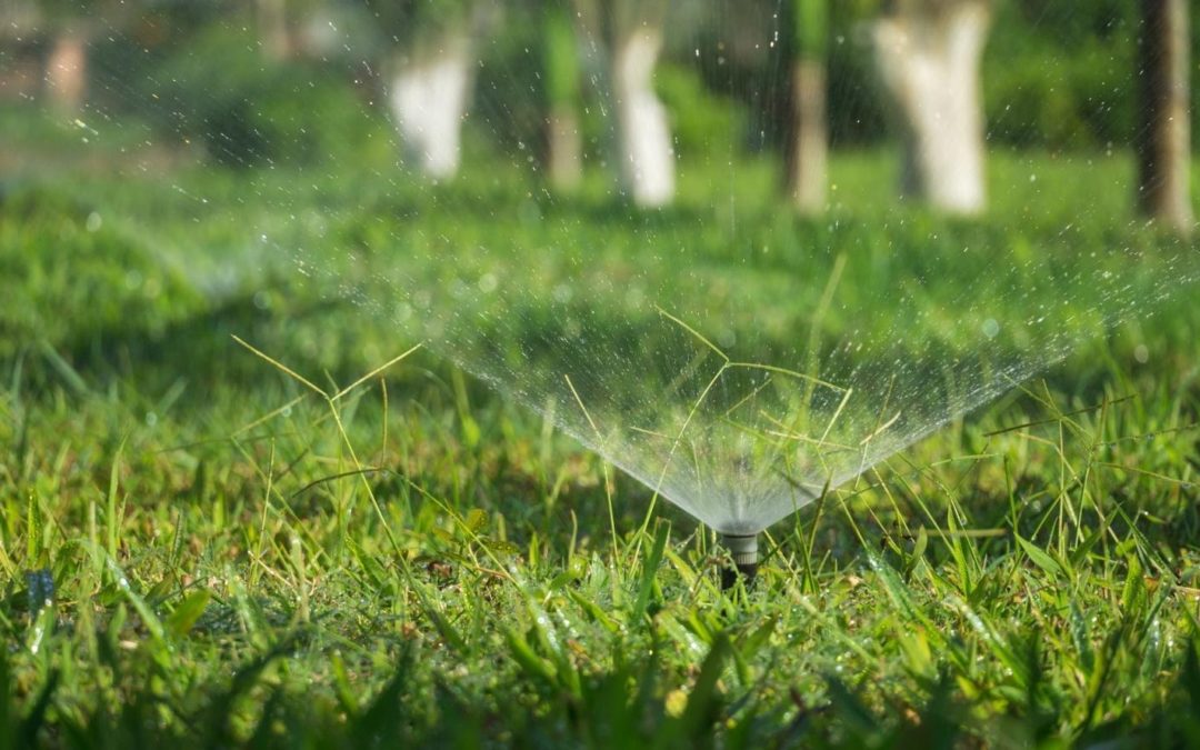 Water Conservation Tips For Smart Irrigation Month