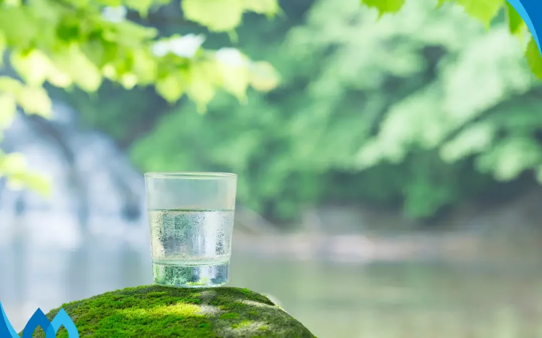 Top Tips to Help You Celebrate Water Quality Month