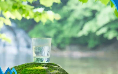 Top Tips to Help You Celebrate Water Quality Month