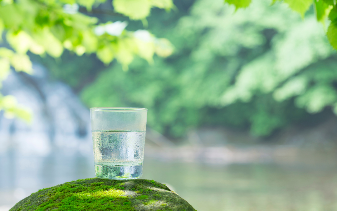 Top Tips to Help You Celebrate Water Quality Month