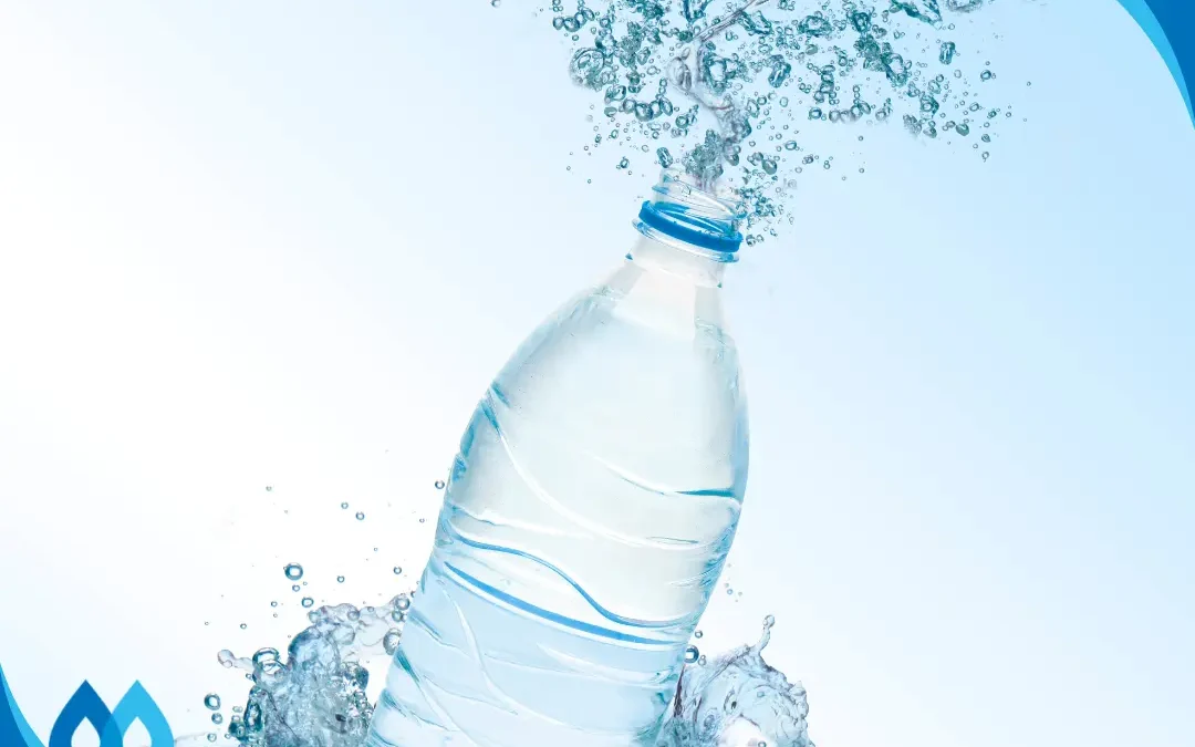 Bottled Water: The Environmental Toll Beyond Convenience