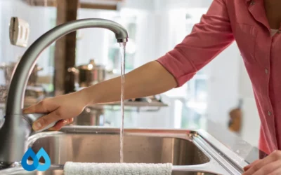 The Benefits of a Home Water Filtration System: Why Your Family Needs One