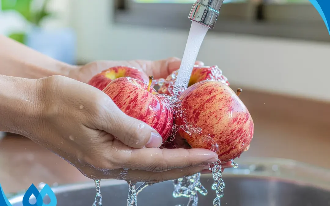 Well Water vs. Municipal Tap Water in North County Communities: What’s in Your Water?