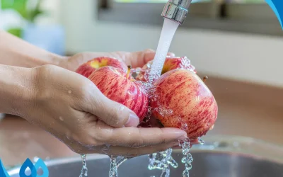Well Water vs. Municipal Tap Water in North County Communities: What’s in Your Water?