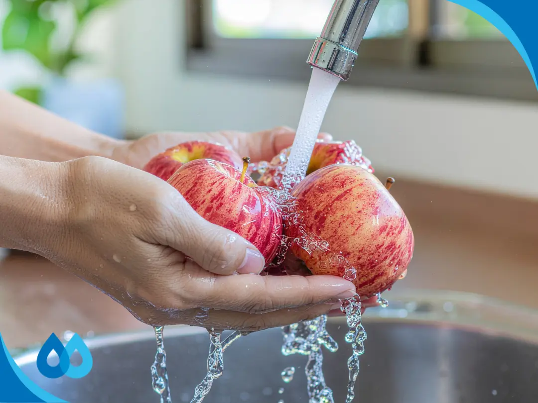 Explore the challenges of tap water in North County